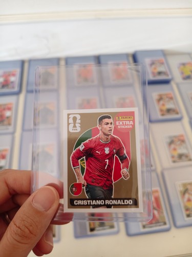 Panini fifa world cup - world,