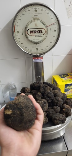 Tartufo nero fresco - tartufo, 1kg.-